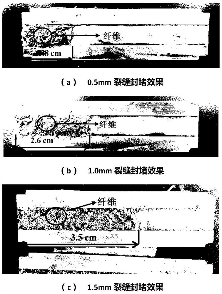 Well cementing cement paste suitable for coal bed methane and preparation method thereof
