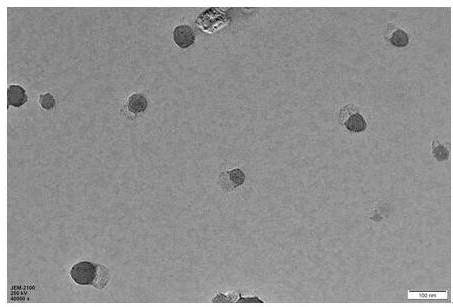 Endoplasmic reticulum membrane fusion liposome as well as preparation method and application thereof