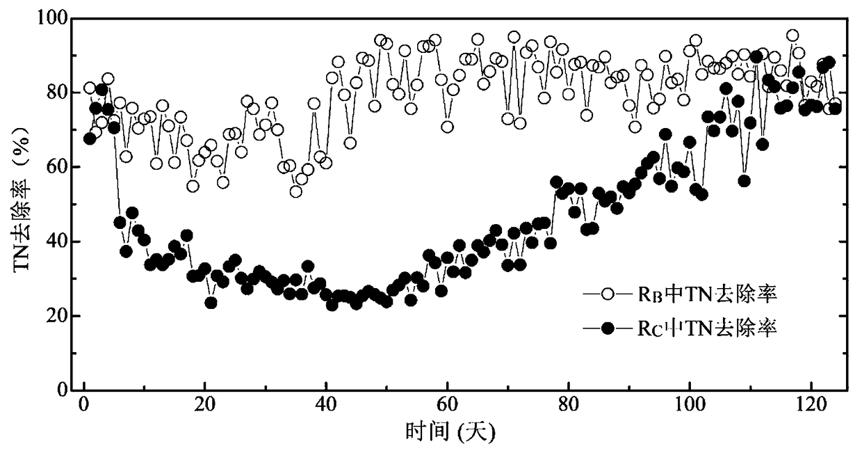 Application of betaine in relieving inhibition of activity of anammox sludge by high-concentration free ammonia