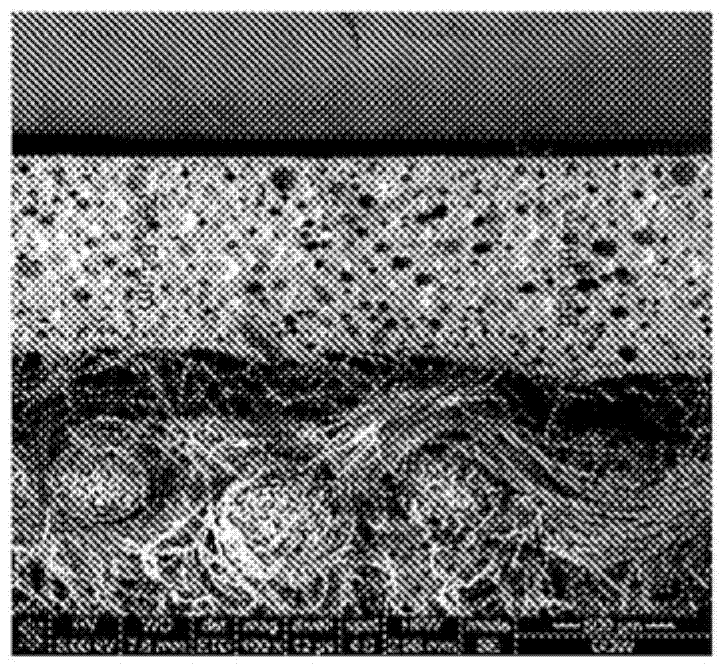 Synthetic leather foam layer made from polyester polyol based backbone polyurethane dispersion