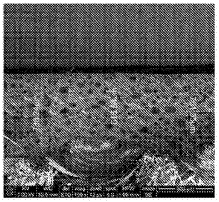 Synthetic leather foam layer made from polyester polyol based backbone polyurethane dispersion