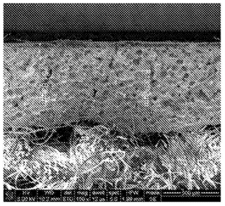 Synthetic leather foam layer made from polyester polyol based backbone polyurethane dispersion