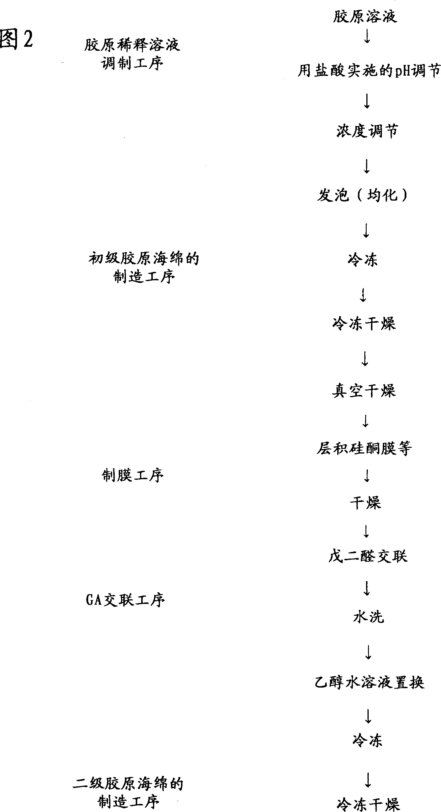 Process for producing collagen sponge, process for producing artificial skin, artificial skin and cell tissue culture substrate