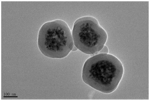 High-density carboxyl-modified magnetic microspheres and preparation method thereof