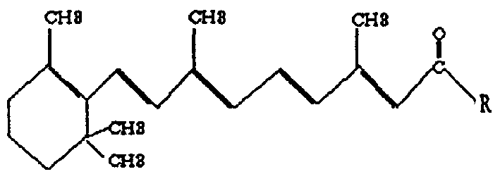 Compound N-total trans dimension methanamide derivative and its preparation method and application
