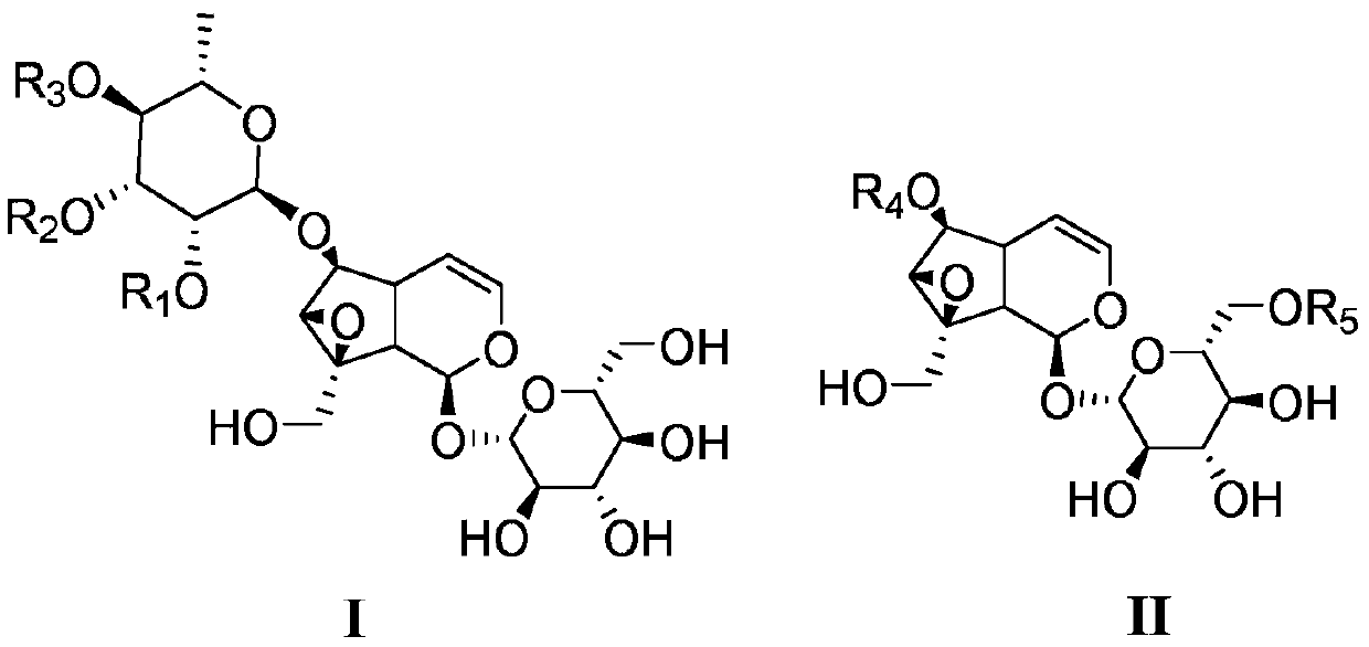 Catalpol derivative and application thereof