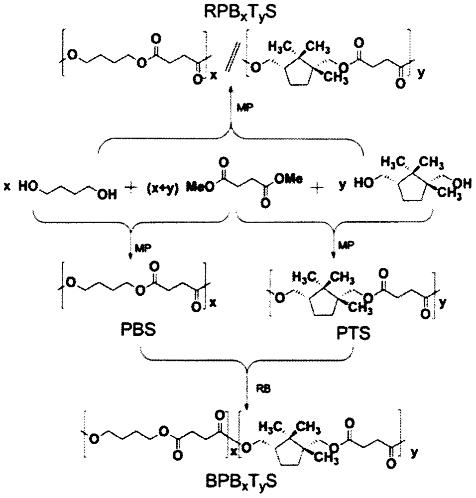 Method for preparing modified PBS copolyester by using camphor alcohol
