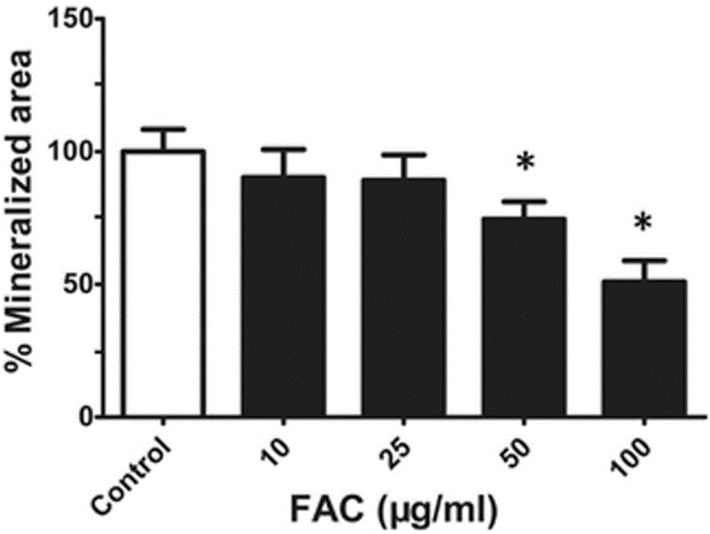 Construction method for zebra fish model using hepcidin to treat high-iron inhibition of bone formation