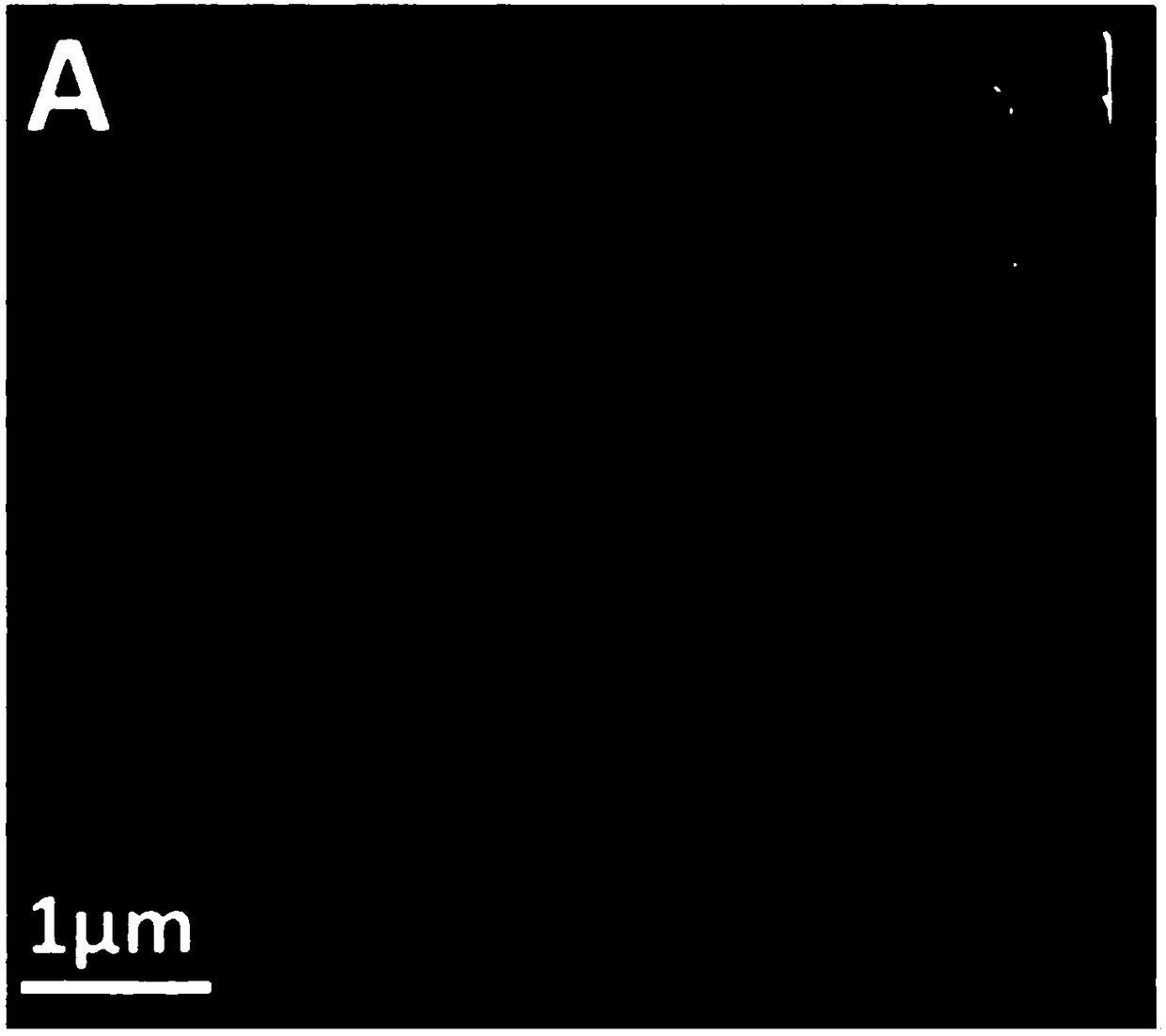 Tyrosine-derived amygdalin-loaded hydrogel preparation method and application