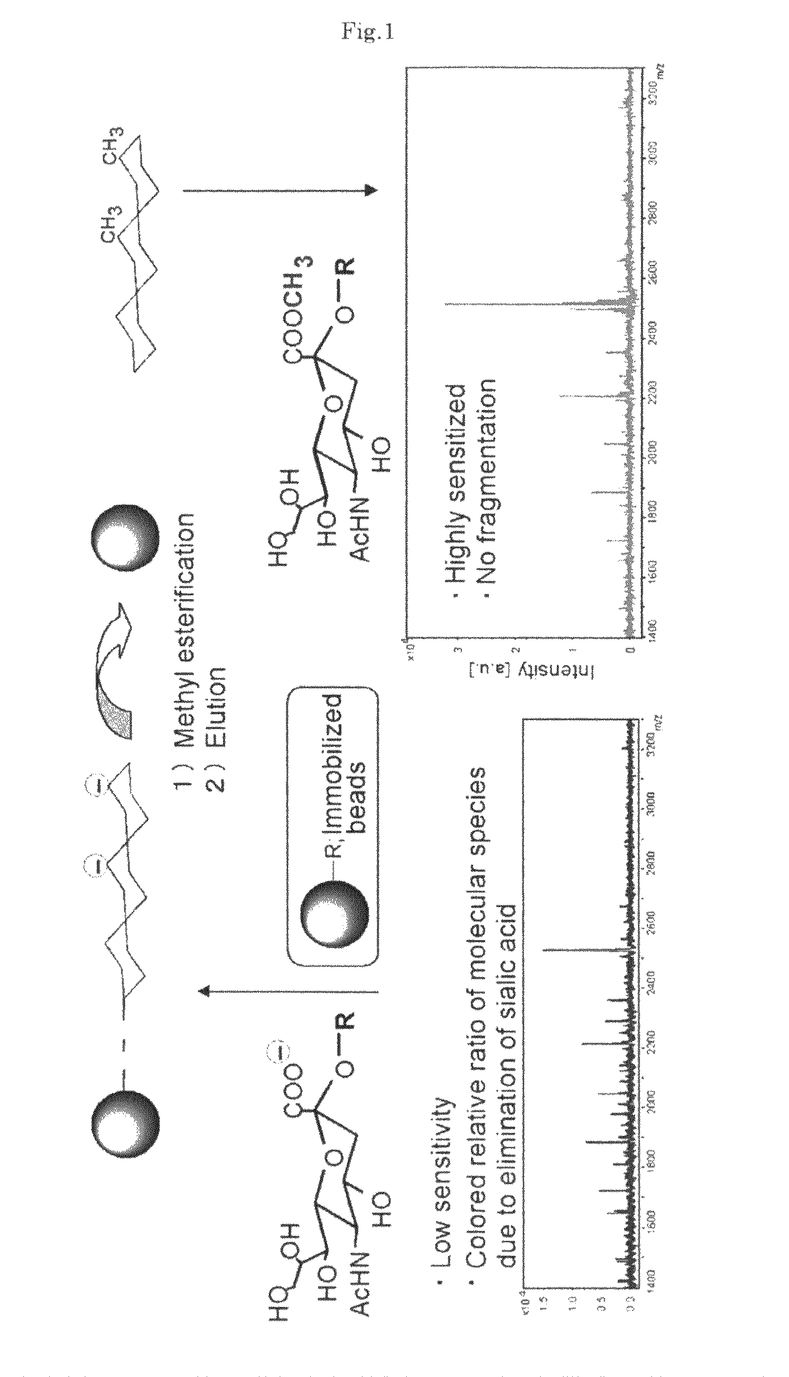 Method of esterifying bio-related molecule for mass spectrometry and method of mass spectrometry of obtained esterified derivative