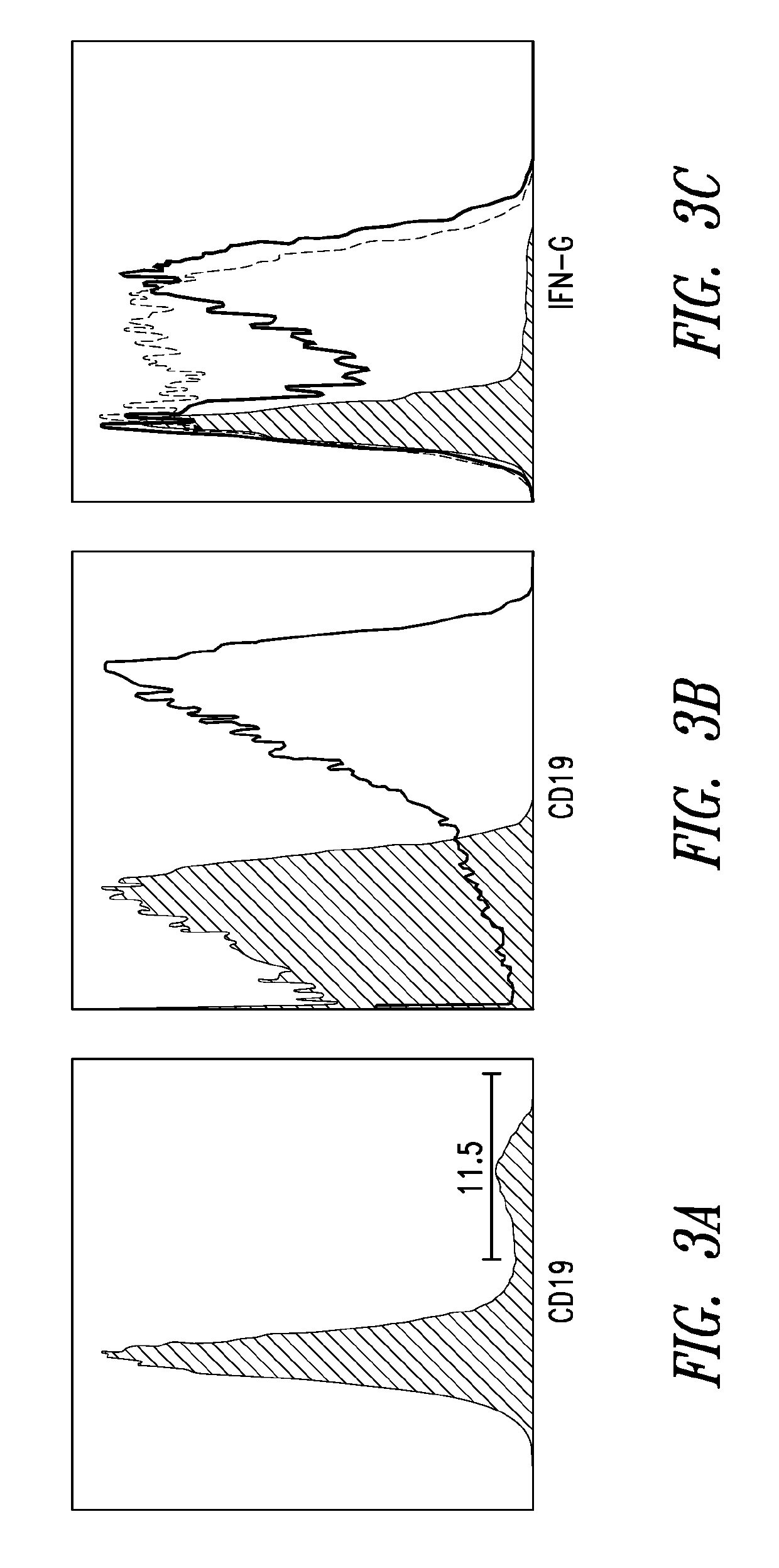 Cell-based neoantigen vaccines and uses thereof