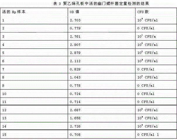 Quantitative determination of Helicobacter pylori live bacteria, drug susceptibility determination kit and determination method