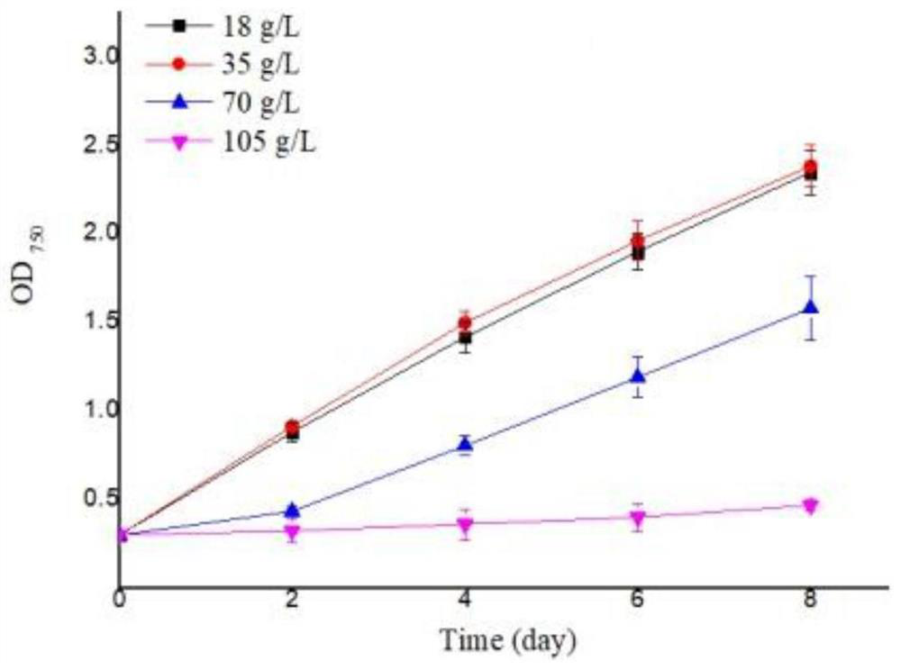 Screening of high-temperature-resistant and high-light-resistant Tetraselmis