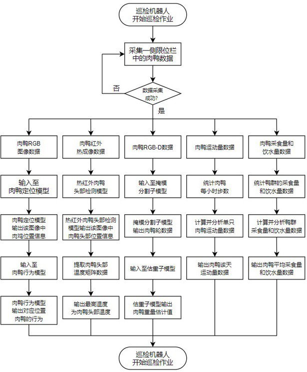 Method and system for inspection of physiological growth information of meat ducks