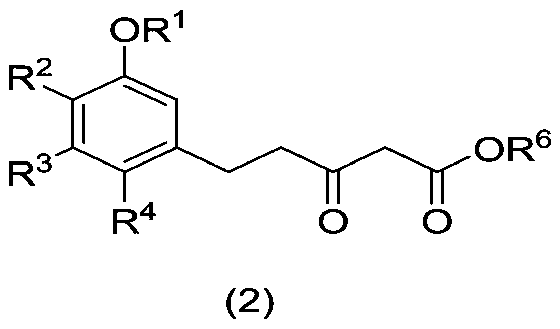 Synthetic method of chiral spiro [chroman-4, 1'-indane] molecule