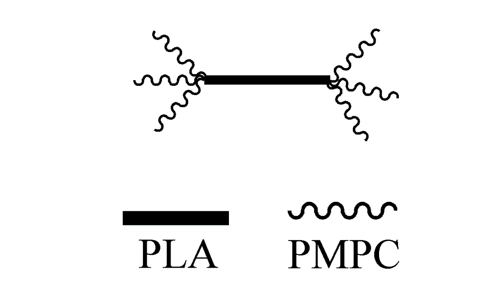 Double-arm hyperbranched starlike amphiphilic polylactic acid-poly2-methacryloyloxy ethyl phosphorylcholine block polymer and preparation method thereof