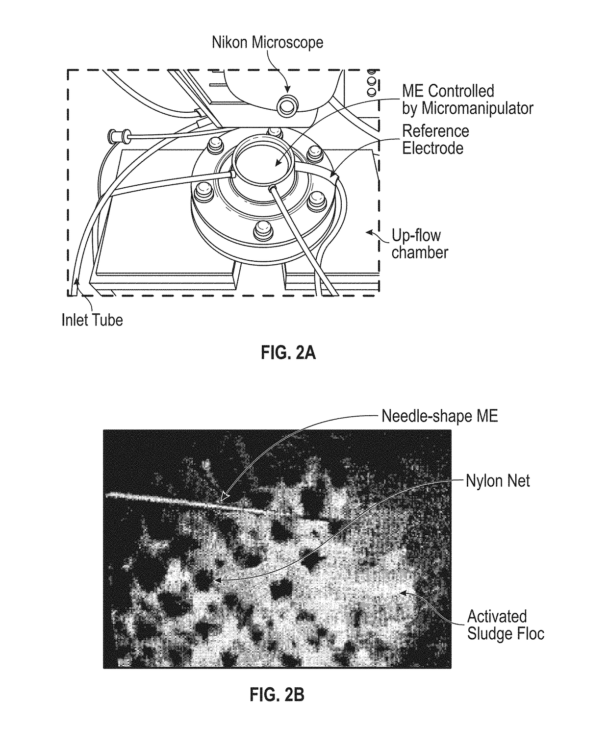 Real-Time In Situ Sensing of Water-Related Parameters Using Micro-Electrode Array