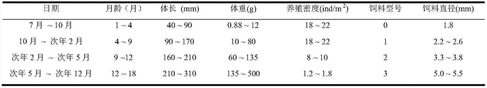 Land-based and earthen-pond segmented relay-type culture method for alosa sapidissima