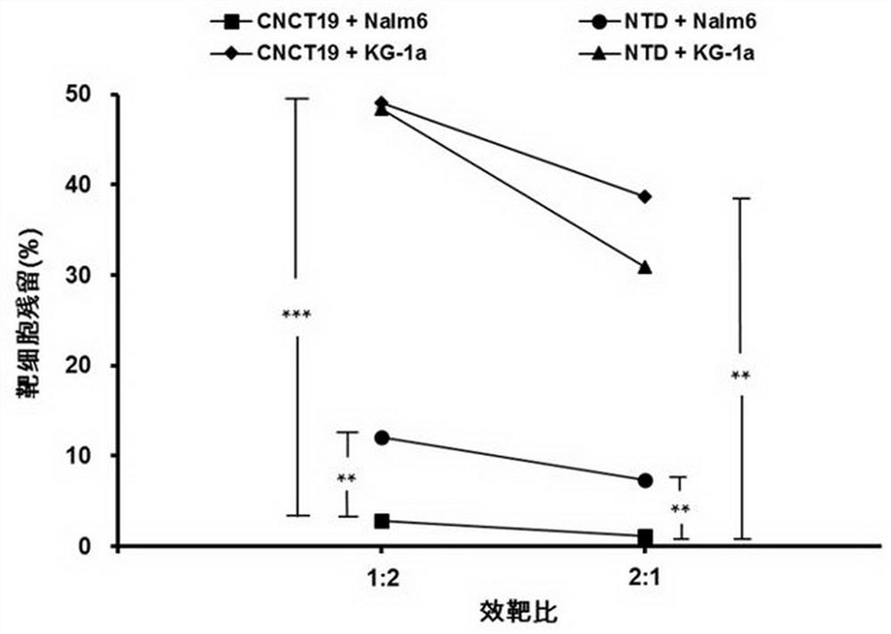 CD19 targeting chimeric antigen receptor and application thereof