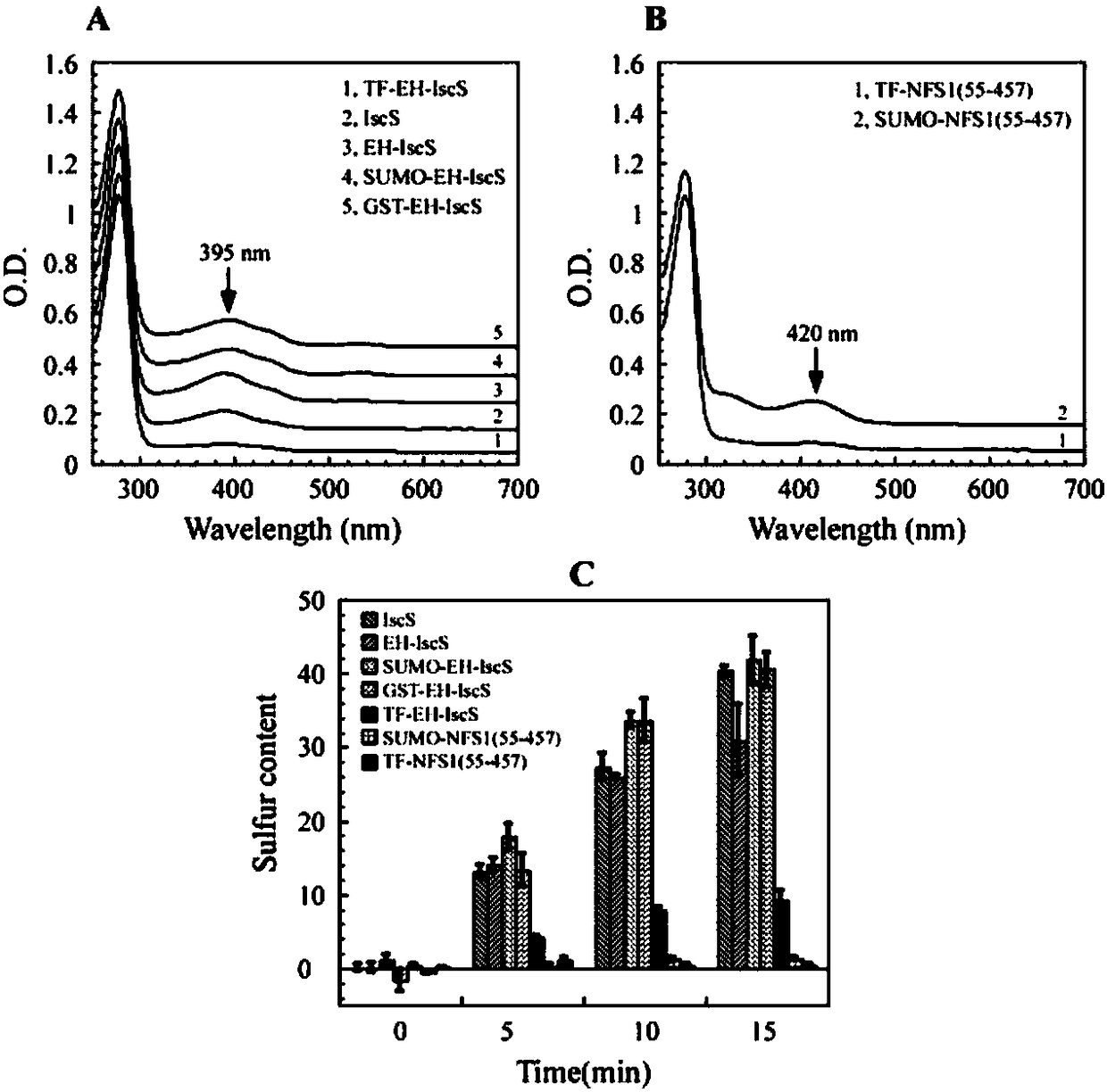 Construction method and application of Escherichia coli cold shock assistant dissolving type expression plasmids