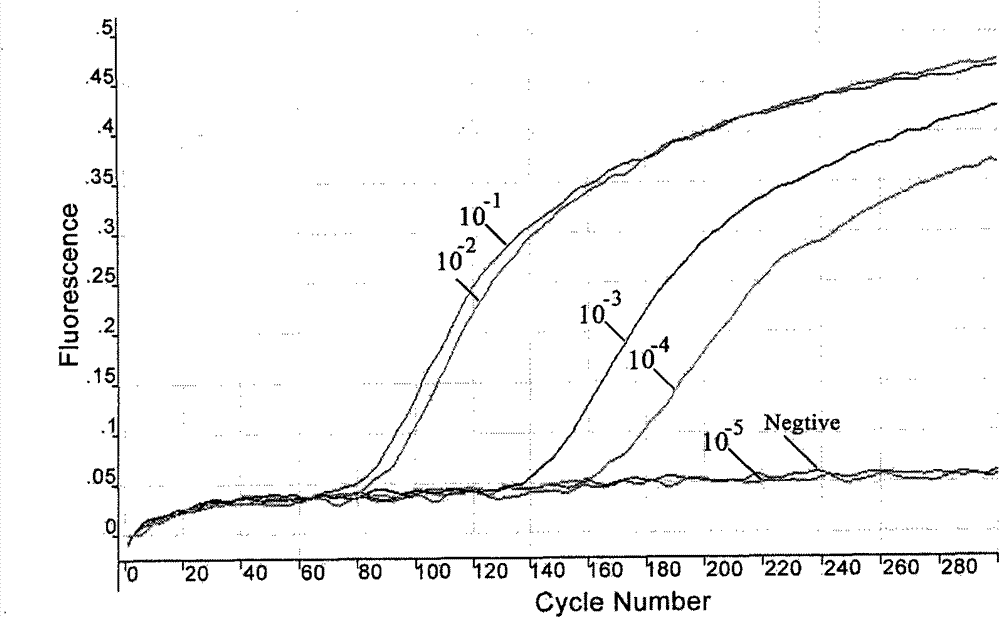 Fast detection method of nucleic acid of A H1N1 influenza virus and kit thereof