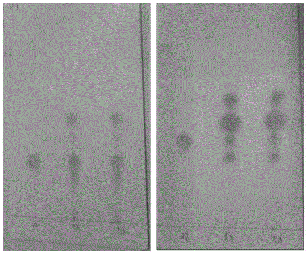 A method for identifying the cell wall skeleton of Nocardia rubrum