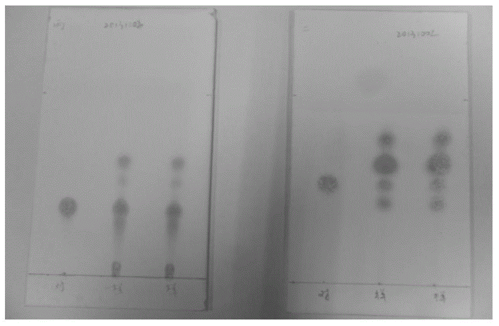 A method for identifying the cell wall skeleton of Nocardia rubrum