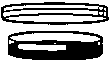 Method for self-assembly of nanomaterials to form a substrate with a ring pattern and the formed substrate with a ring pattern and applications