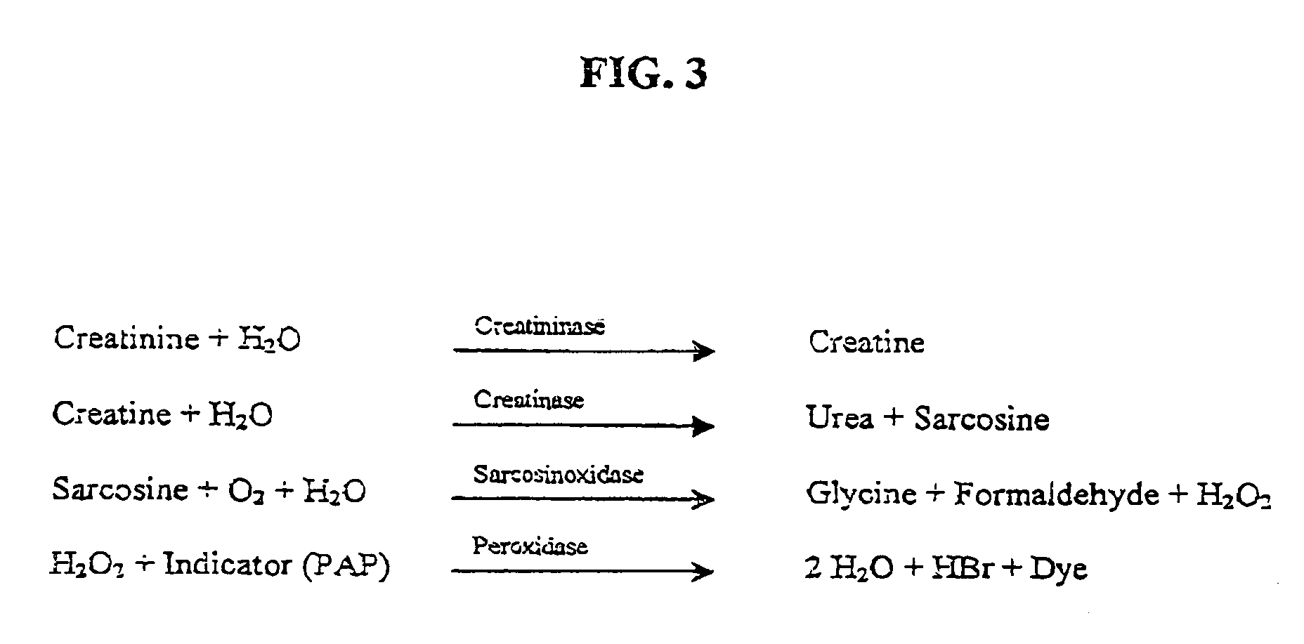 Nucleotide sequence for creatinine deiminase and method of use