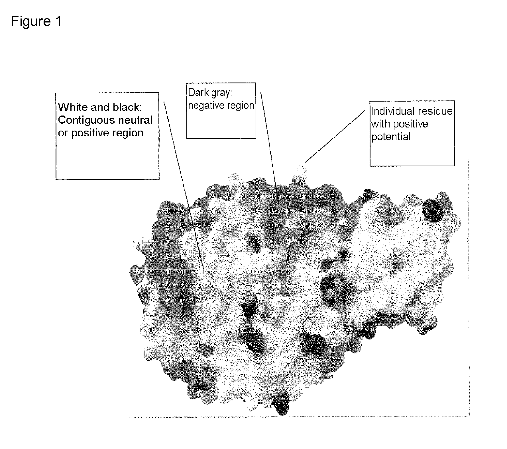 Alpha-amylase variants stabilized against dimerization and/or multimerization, method for the production thereof, and detergents and cleansers containing these alpha-amylase variants