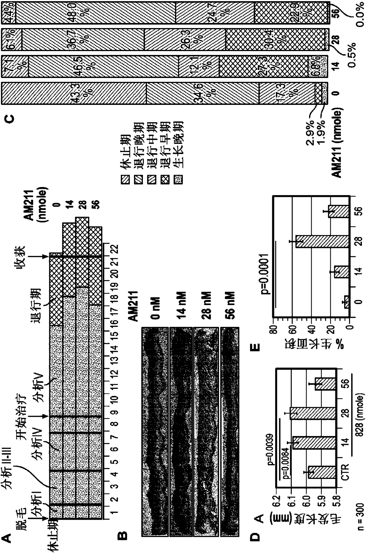 Single nucleotide polymorphic alleles of human dp-2 gene for detection of susceptibility to hair growth inhibition by pgd2