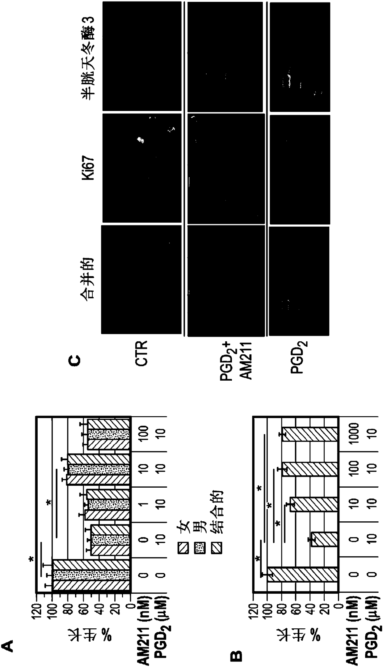 Single nucleotide polymorphic alleles of human dp-2 gene for detection of susceptibility to hair growth inhibition by pgd2