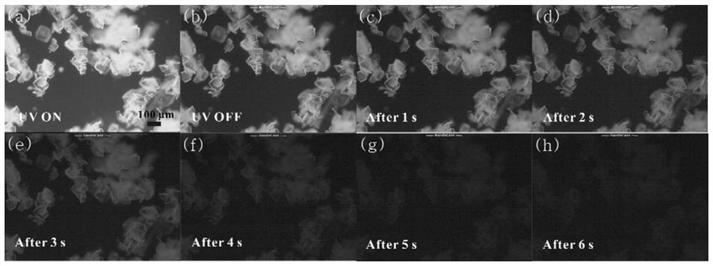 Application of d-a type organic doped crystal afterglow material in anti-counterfeiting