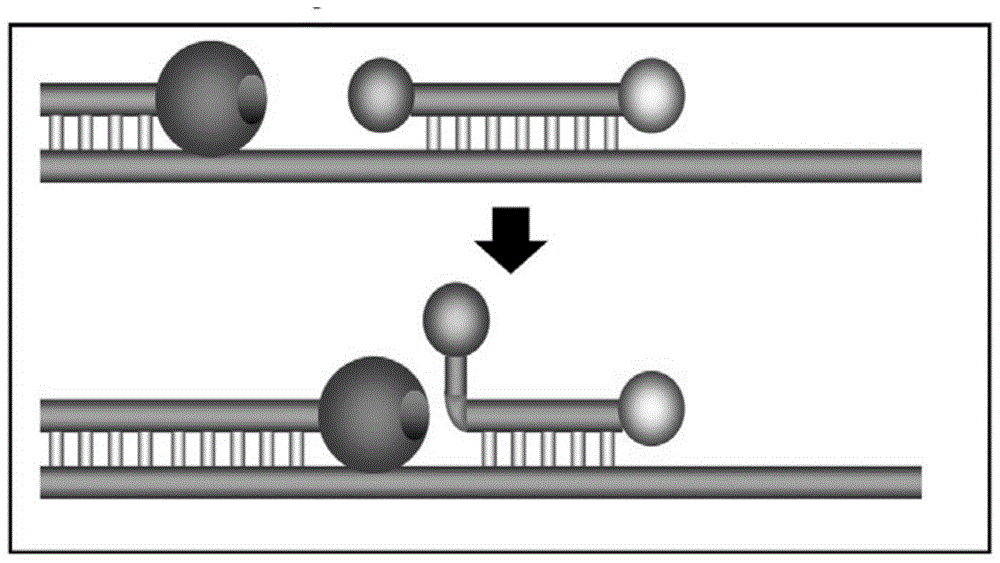 A Fluorescent RT‑PCR Kit for Detection of Japanese Encephalitis Virus