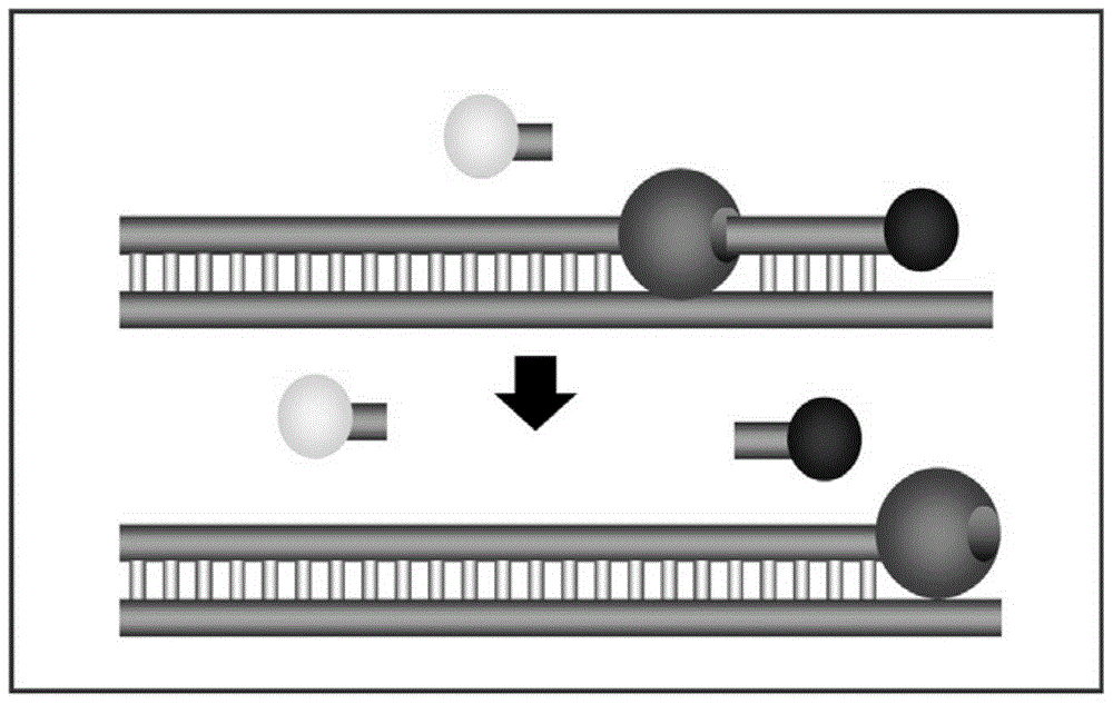 A Fluorescent RT‑PCR Kit for Detection of Japanese Encephalitis Virus