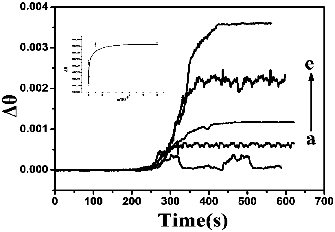 SPR method for rapidly screening charge-reversed cationic gene vector