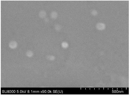 SPR method for rapidly screening charge-reversed cationic gene vector