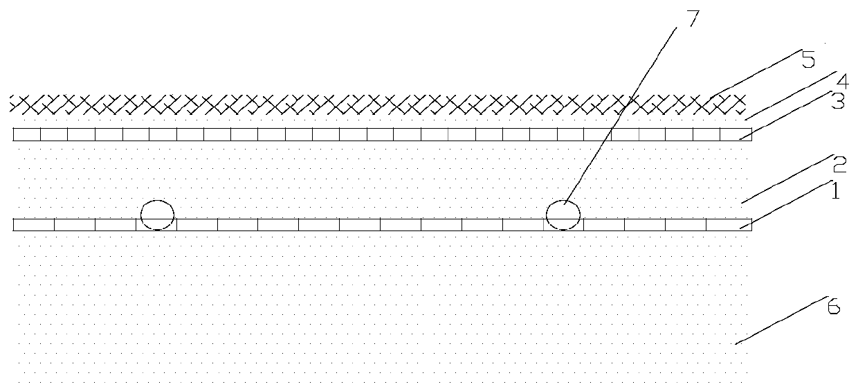 A kind of pinellia ecological cultivation method