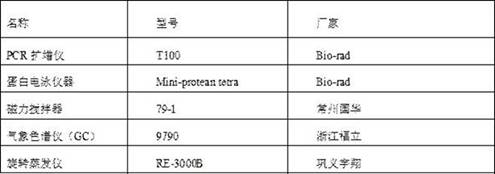 Glucose dehydrogenase dna molecule, carrier and bacterial strain and application