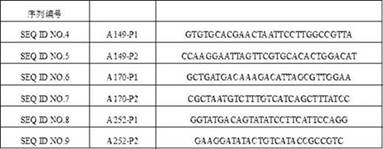 Glucose dehydrogenase dna molecule, carrier and bacterial strain and application