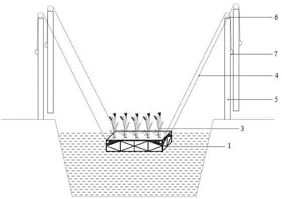 Submerged plant planting matrix and device utilizing submerged plants to restore eutrophic water