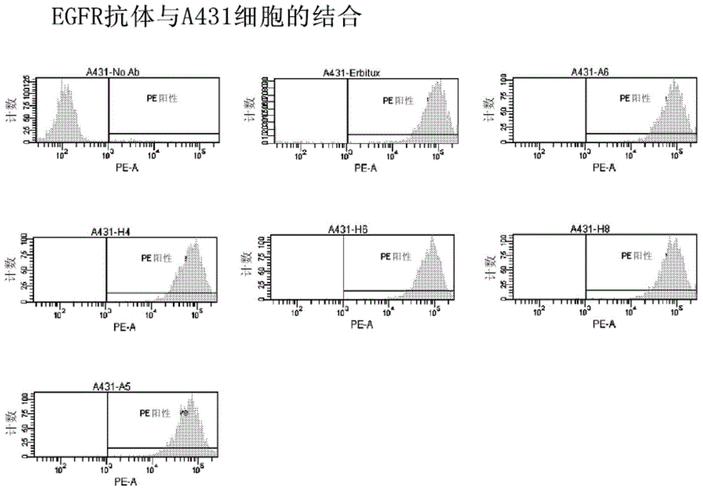 Antigen binding proteins that bind EGFR