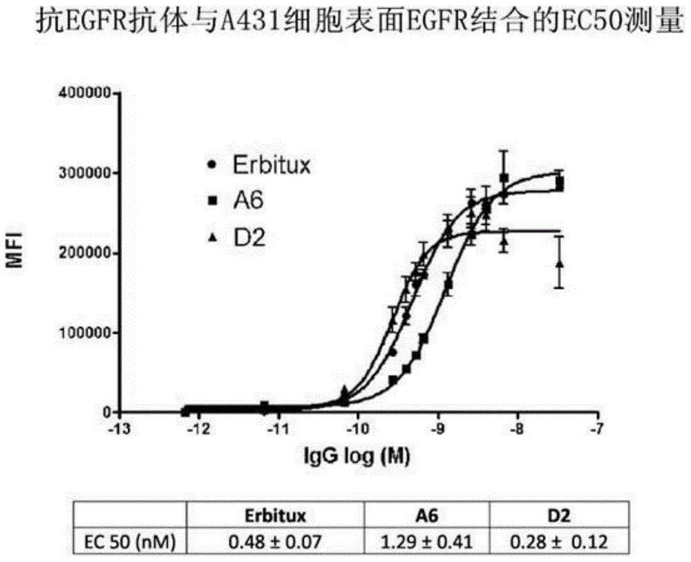 Antigen binding proteins that bind EGFR