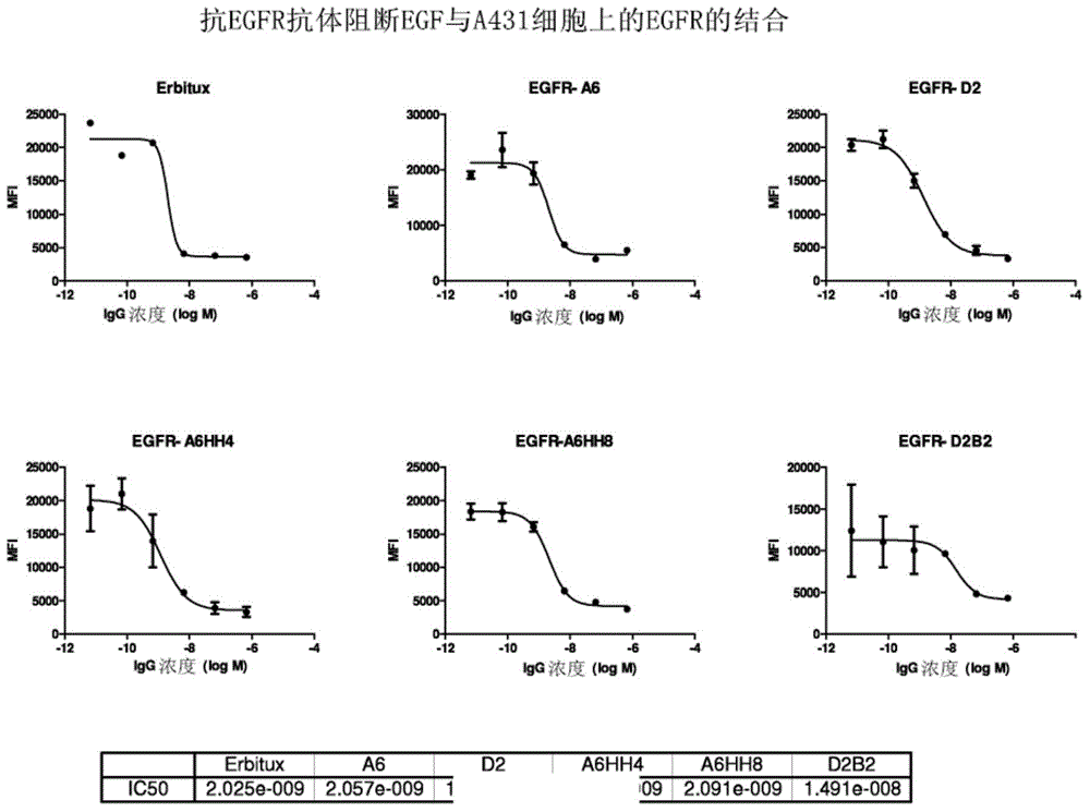 Antigen binding proteins that bind EGFR