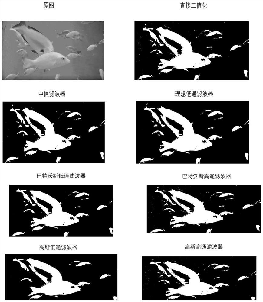Intelligent fish monitoring method based on video images