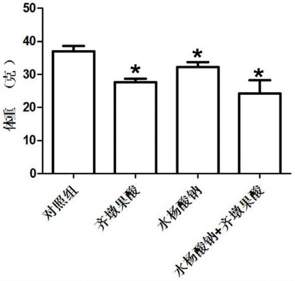 Medicinal composition, and its application in preparation of medicines for treating obesity, insulin resistance and diabetes