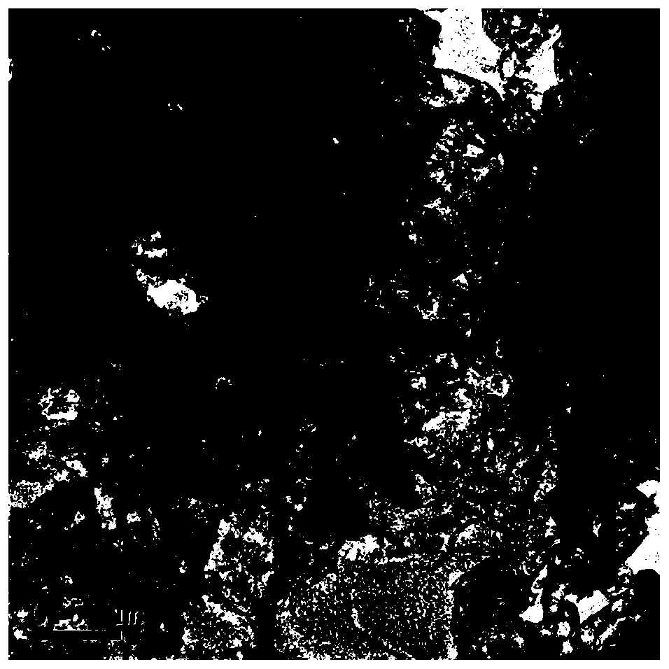 Cobaltosic oxide dodecahedron/carbon nitride nanosheet composite and application thereof in waste gas treatment