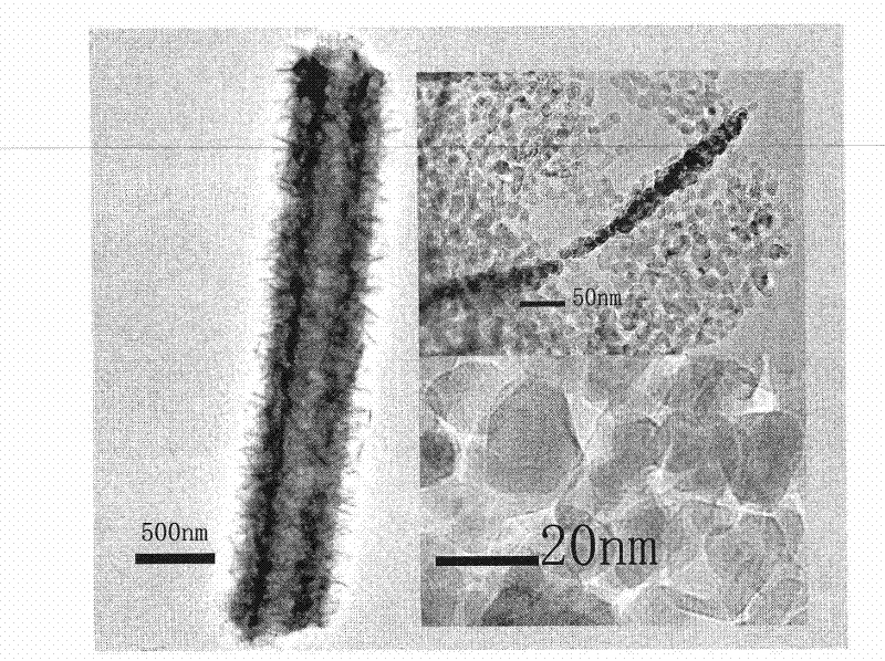 Titanium oxide micro-nanotube with visible-light catalysis effect, and preparation method thereof