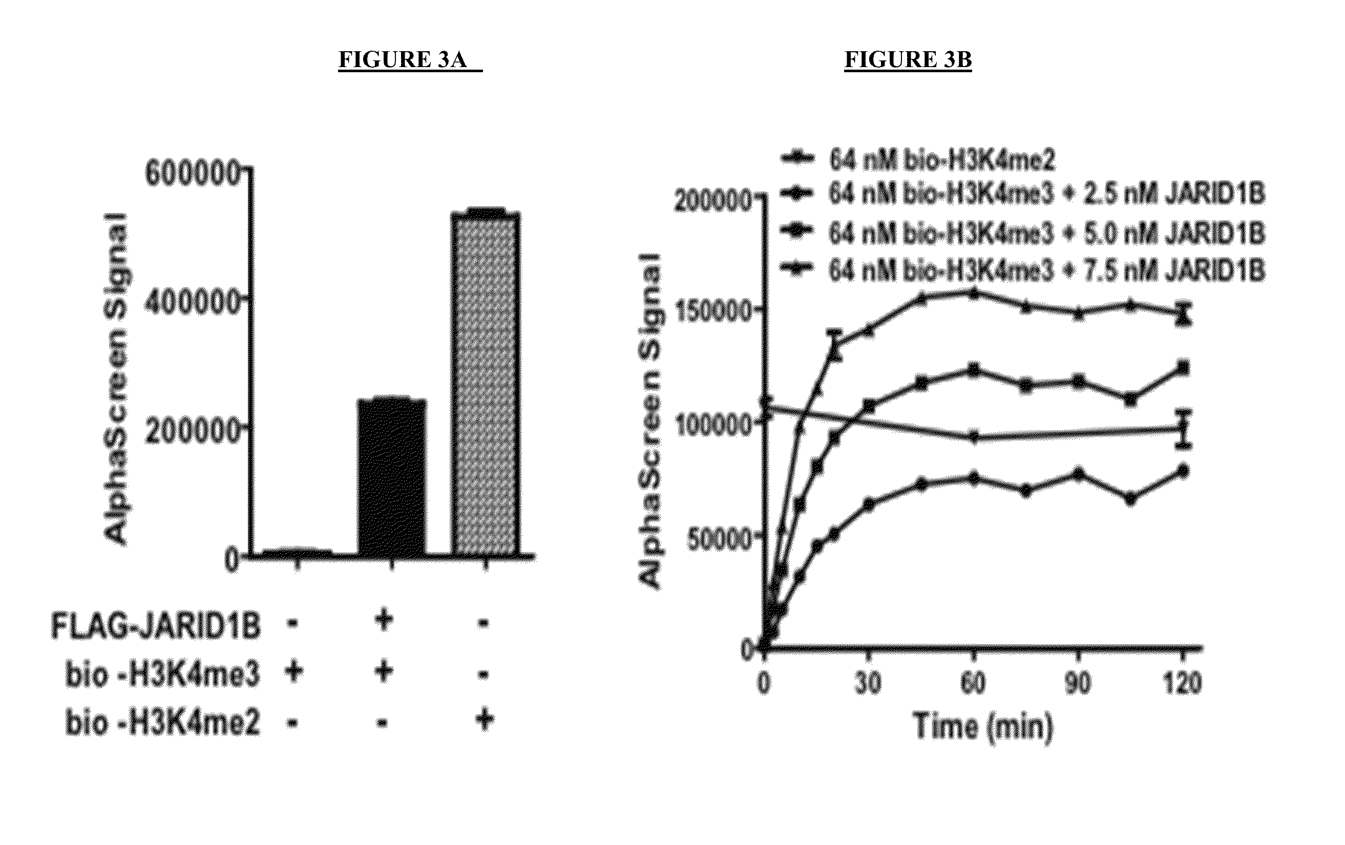 Identification of Small Molecule Inhibitors of Jumonji AT-Rich Interactive Domain 1A (JARID1A) and 1B (JARID1B) Histone Demethylase