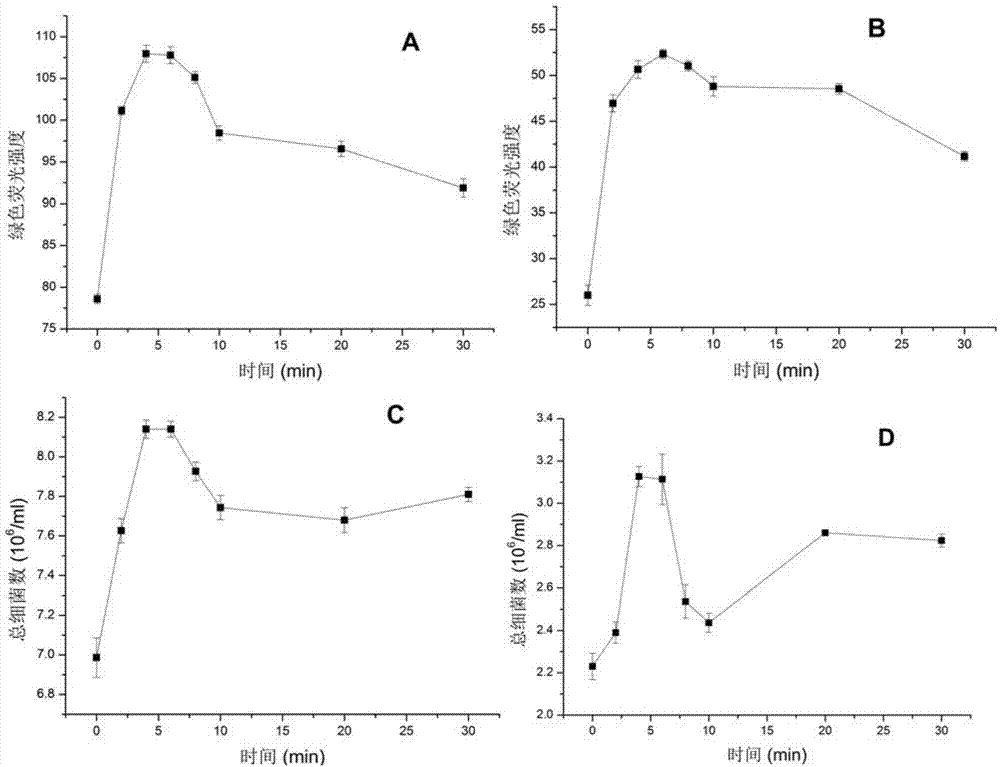 Method for measuring sizes of heterotrophic bacteria in shallow lake based on flow cytometry
